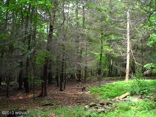 2nd image of 649 Summer Mountain Rd
