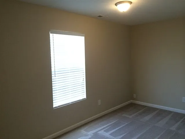 1012 Early Rise St — Photo 11