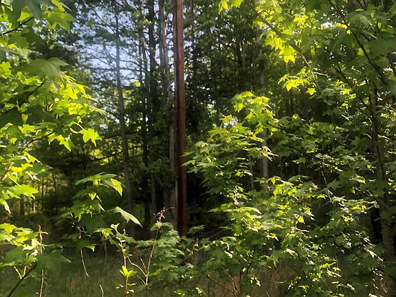 2nd image of 396 County Road 3773