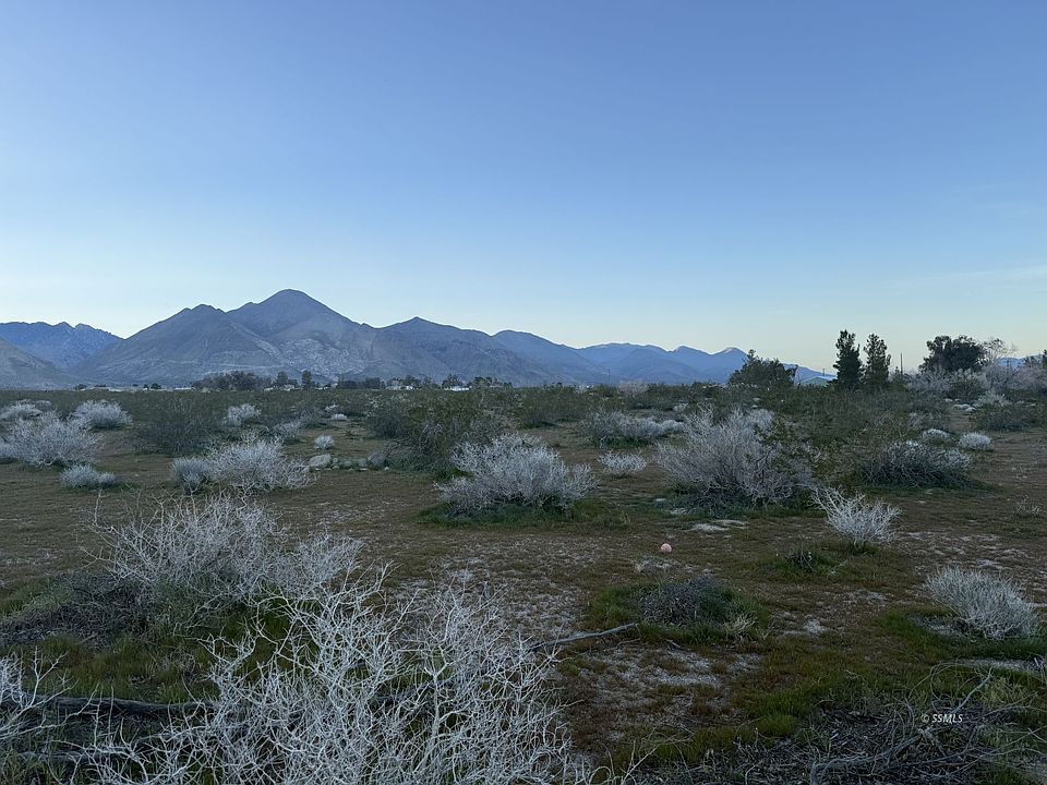 1st image of Paradise Cv