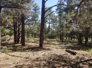 150 S 14th Dr, Show Low, AZ 85901