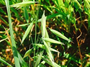 20285 Stewart Rd, Red Bluff, CA 96080