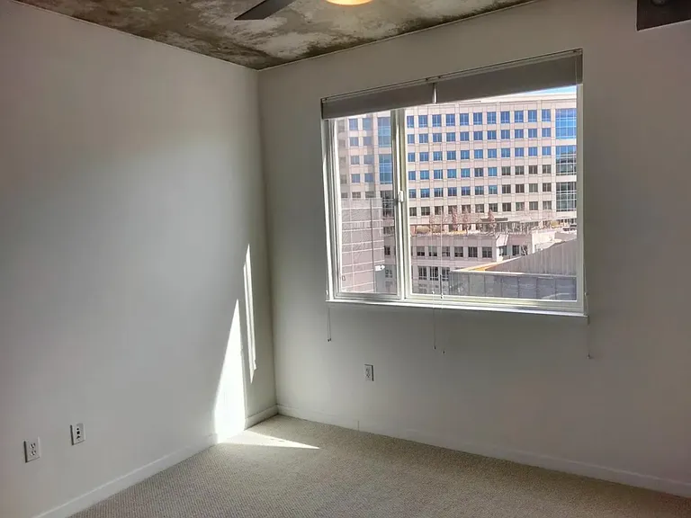 1475 Delgany St #607 — Photo 11