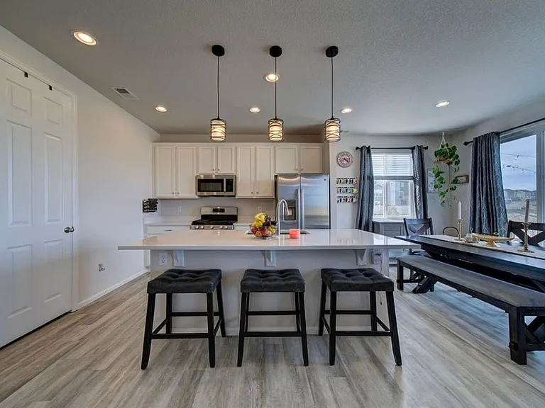 8262 Buffalo Horn Dr — Photo 5
