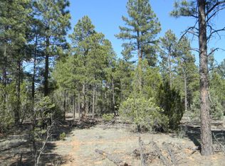 3314 Tonto Dr, Overgaard, AZ 85933