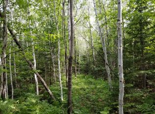 Nathan Pass LOT 31, Mercer, WI 54547