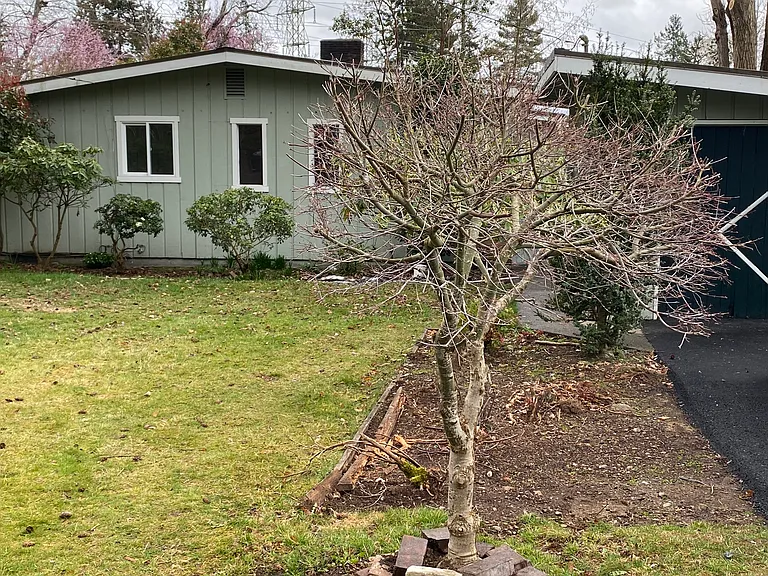 NE 203rd St — Photo 22