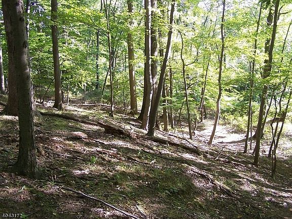4th image of 18 Meadow Ln