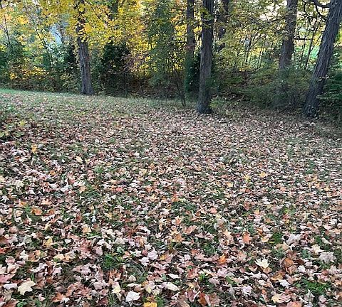 2nd image of 4636 Crandall Lanesville Rd NE