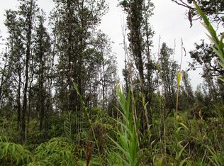 Ooaa Road Rd #6-LOT 4236, Mountain View, HI 96771