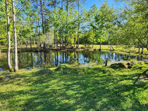 9543 PLUMMER Road, Jacksonville, FL 32219