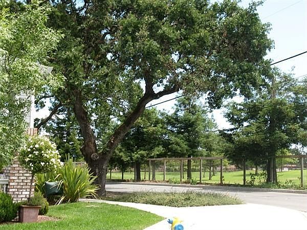 2nd image of 8210 Trione Cir