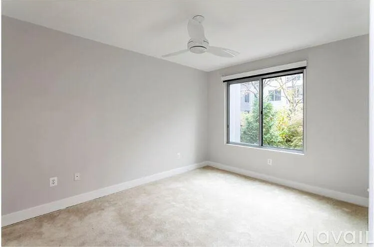 4101 Albemarle St NW #450 — Photo 14