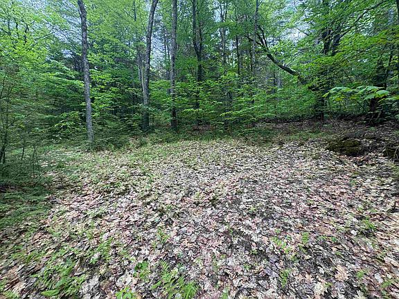 3rd image of Lot 13 Beach Pond Road
