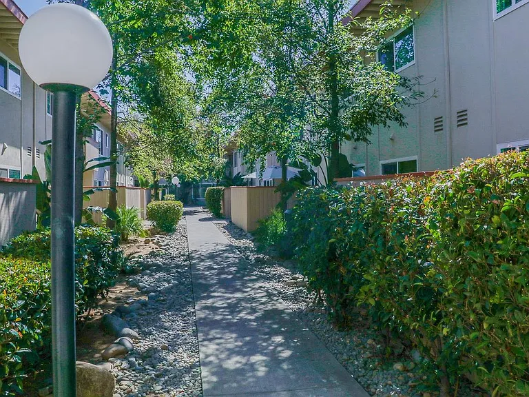 Grounds