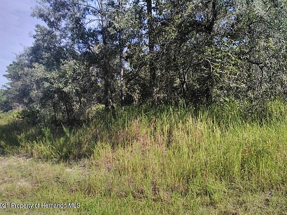 4th image of 13134 Kildeer Rd
