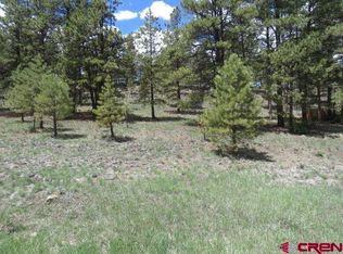 52 Church Creek Dr, South Fork, CO 81154