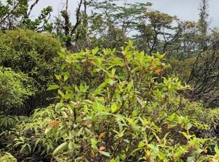 10th Avenue Kiele LOT 1614, Keaau, HI 96749