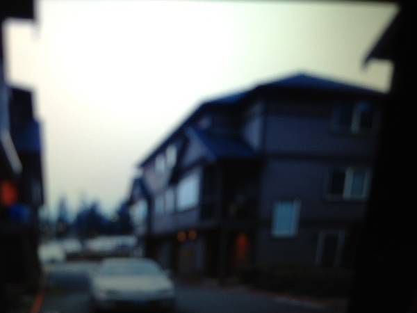 2nd image of 7117 Rainier Dr APT E