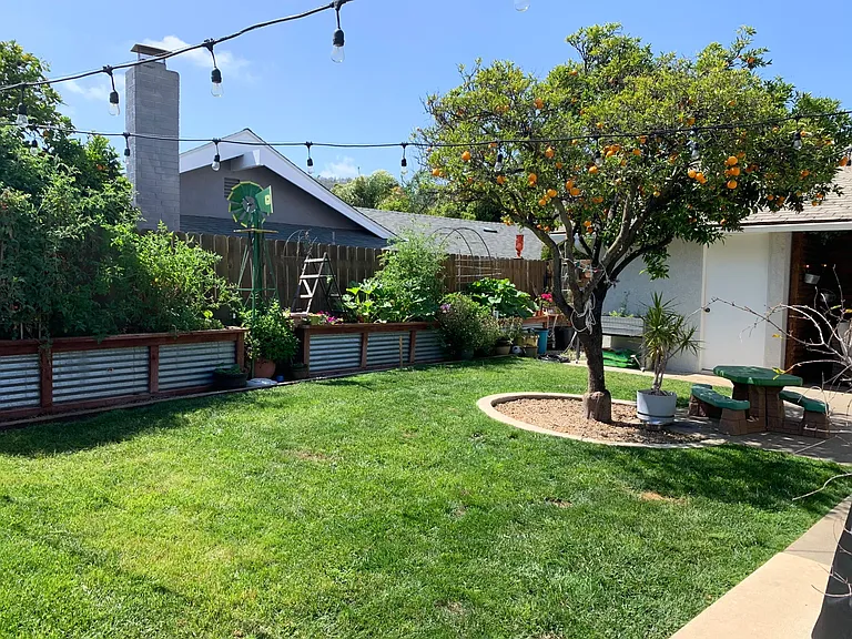 1931 Lorri Way — Photo 18