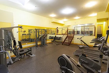 Rented by Bold New York