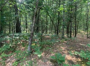 910 E Saiko Rd, Hope, MI 48628