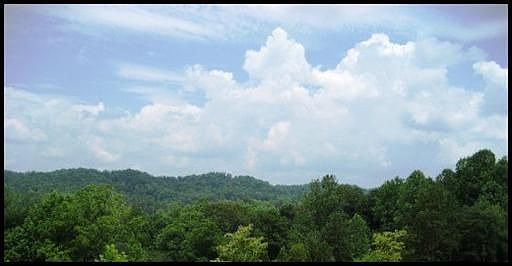 Gorgeous Views from Home