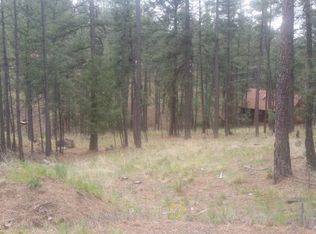 149 Juniper Rd, Ruidoso, NM 88345