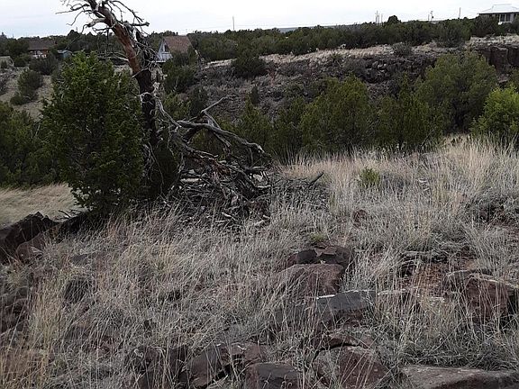 3rd image of 1792 Queen Creek Pl