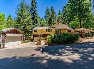 16470 Scout Way, Pioneer, CA 95666