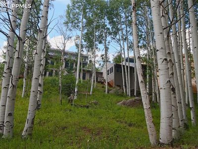 75 Pitchblende Rd, Florissant, CO, 80816