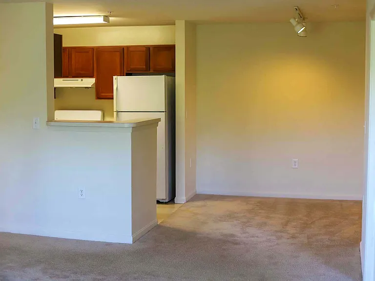 Woodbridge Commons — Photo 8