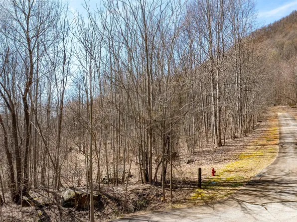 LOT 201 Cherry Hl, Mill Spring, NC 28756