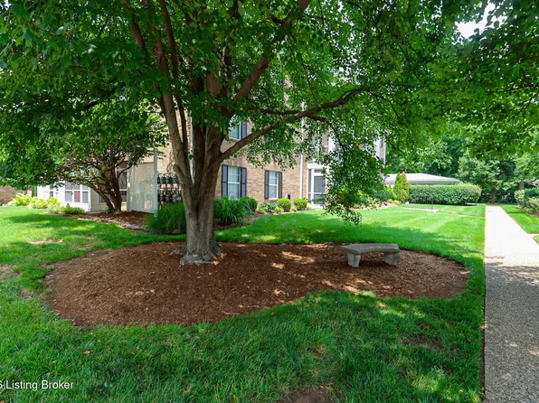 705 Donard Park Ave, Louisville, KY 40218