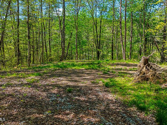5th image of LOT 4 Golf Course Rd Lot 4