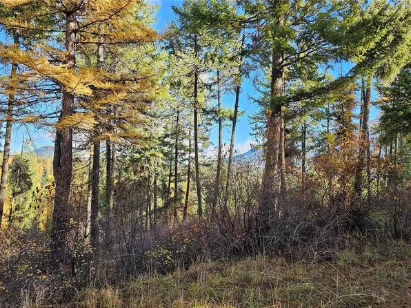 700 L Dry Gulch Road, Colville, WA 99114