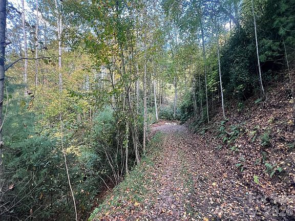 2nd image of 6 Dividing Ridge Trl #1