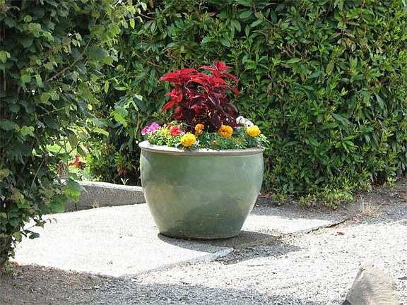 North Side Flower Pot
