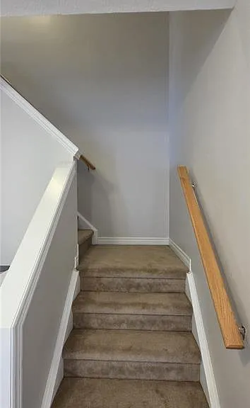 33 Freer Dr — Photo 11