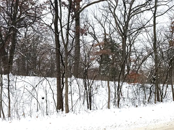 377 Totem Rd, Saint Paul, MN 55119