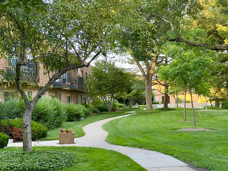 Walking path by the pond