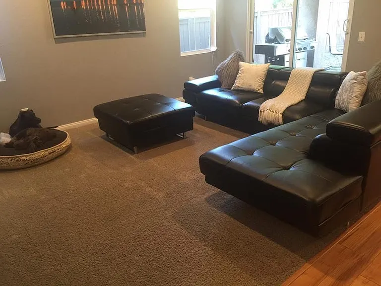 4509 Brandi Ln — Photo 5