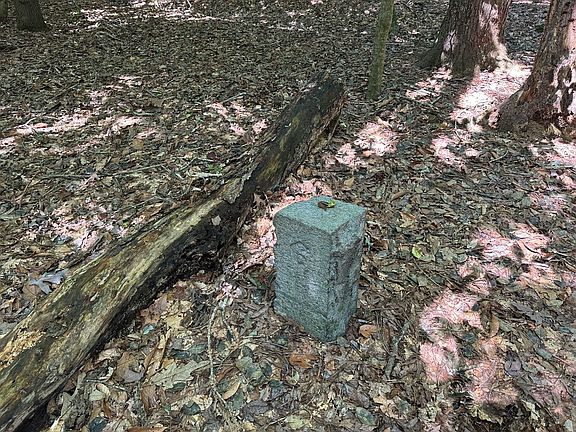 Both back boundary corners have concrete monument markers.