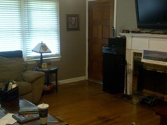 Living Room and Fireplace