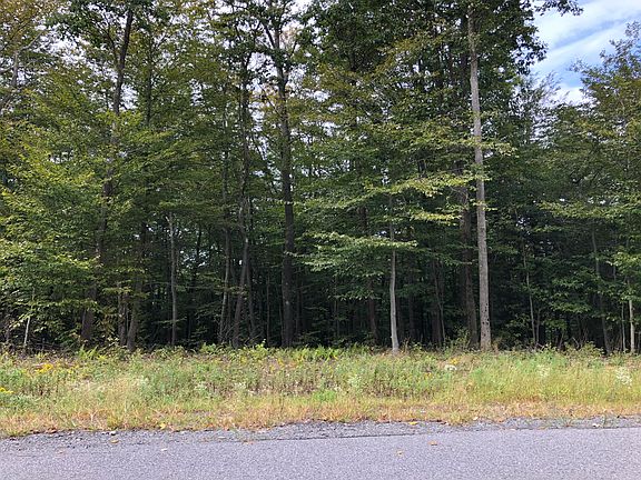 Great lot for a walk out.