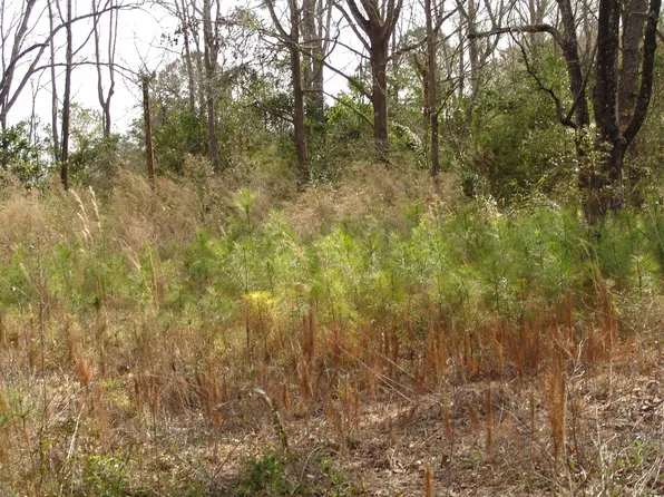 415 S Magnolia Ave., Andrews, SC 29510