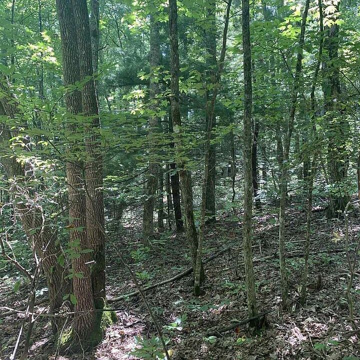 2nd image of 67 N Woods Rd #3