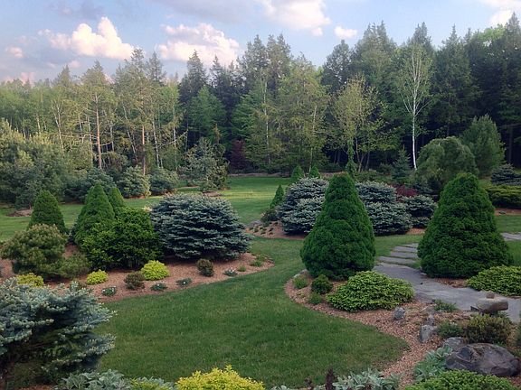 5th image of 54 Black Bird Ln