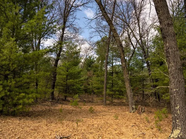 Lot 188 18th Lane #188, Friendship, WI 53934