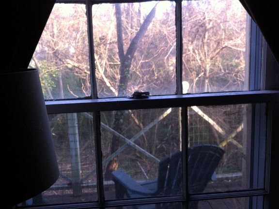 View off master bedroom